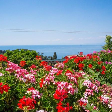 Le Clementine B&B Camogli Bagian luar foto