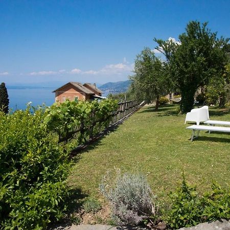 Le Clementine B&B Camogli Bagian luar foto