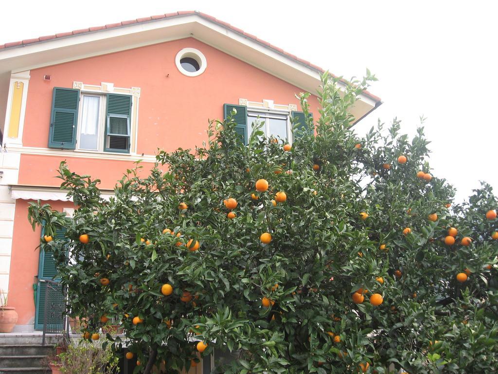 Le Clementine B&B Camogli Bagian luar foto