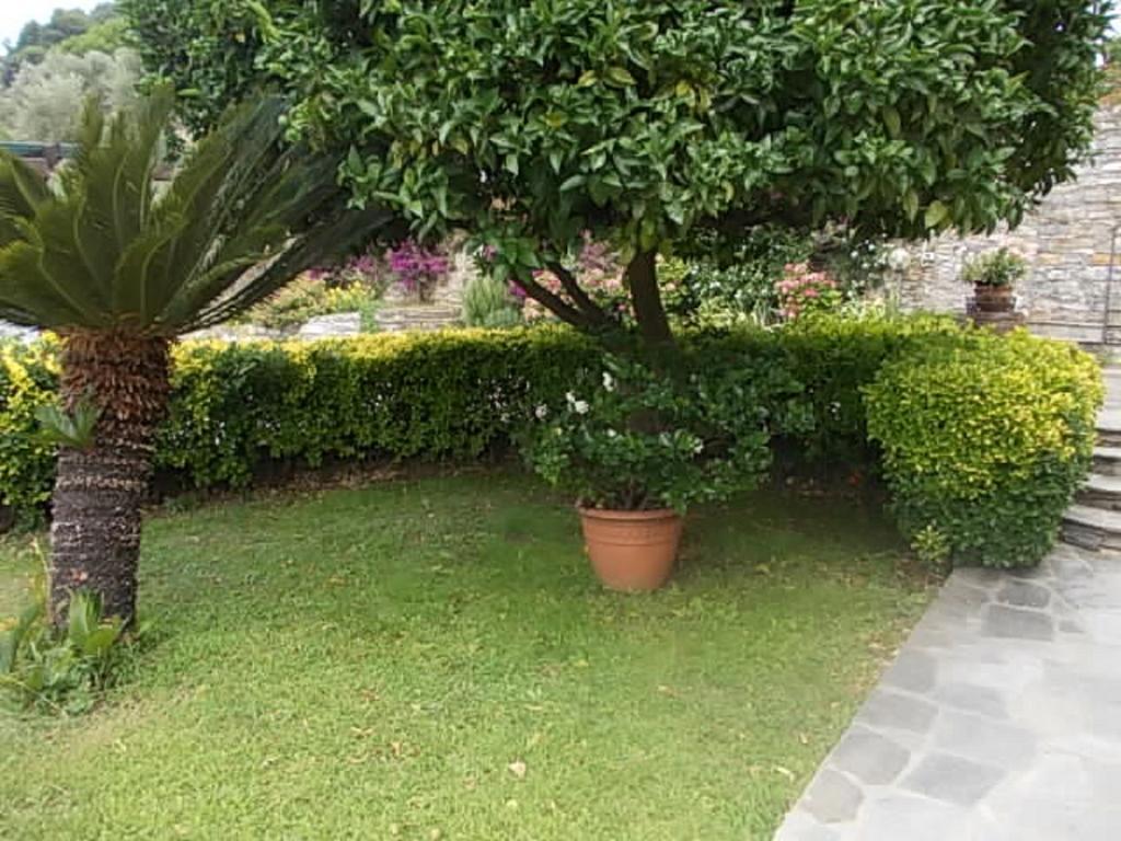 Le Clementine B&B Camogli Bagian luar foto