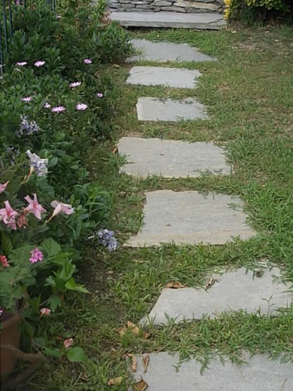 Le Clementine B&B Camogli Bagian luar foto