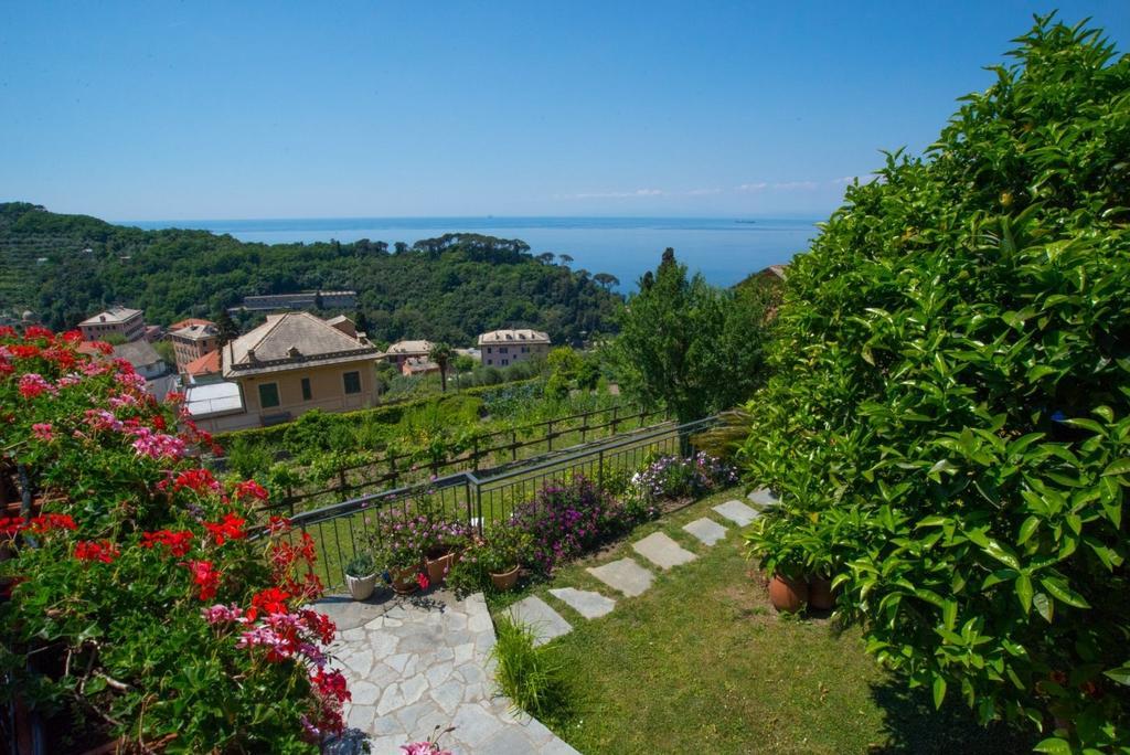 Le Clementine B&B Camogli Bagian luar foto